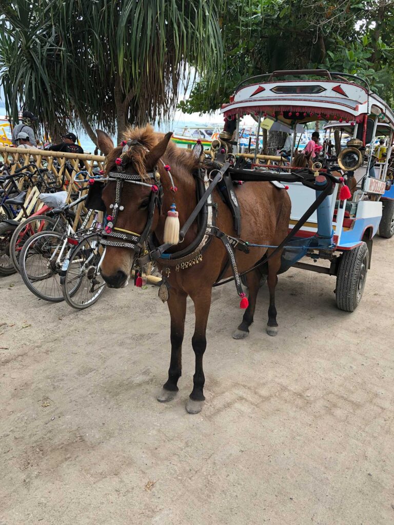 Hestvogn på Gili Air